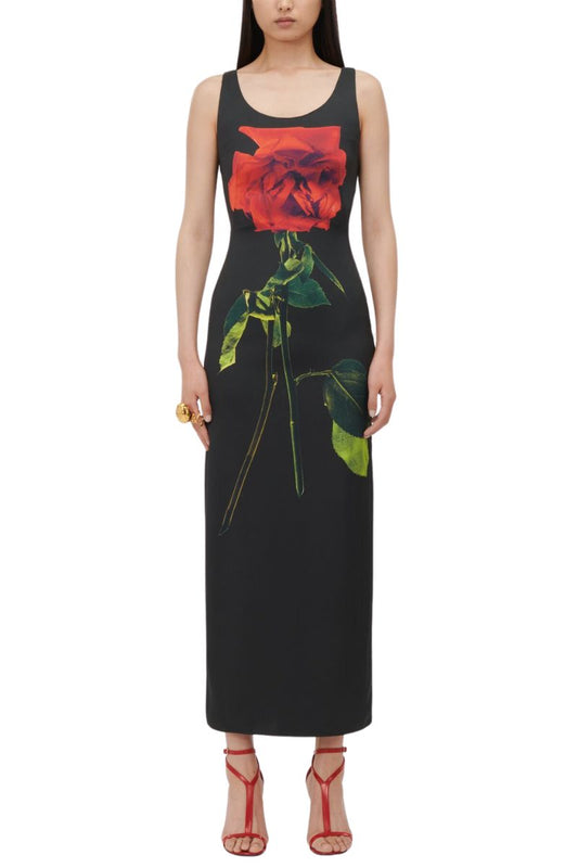 Shadow Rose Pencil Dress-Alexander McQueen-Boyds Philadelphia