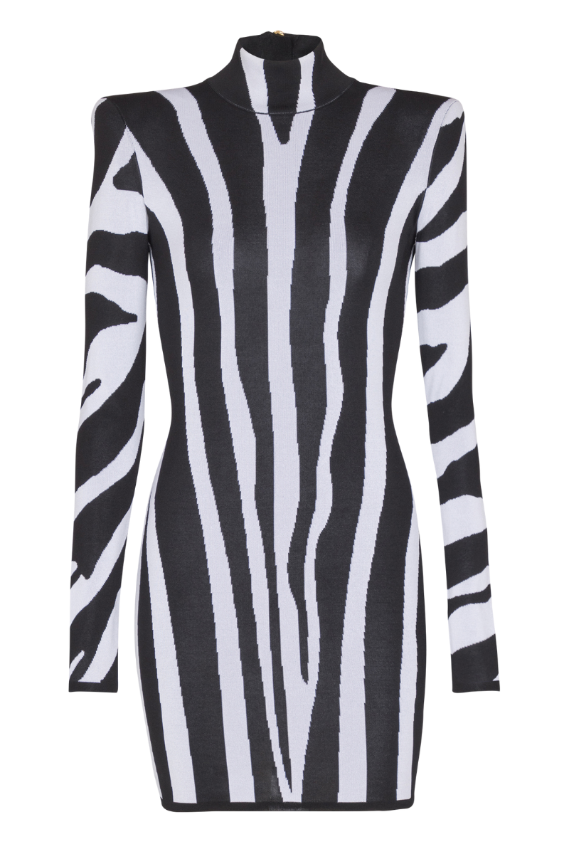 Zebra Intarsia Knit Dress by Balmain Zebra Intarsia Knit Dress by Balmain