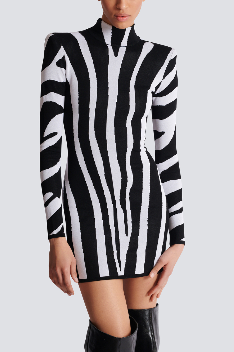 Zebra Intarsia Knit Dress