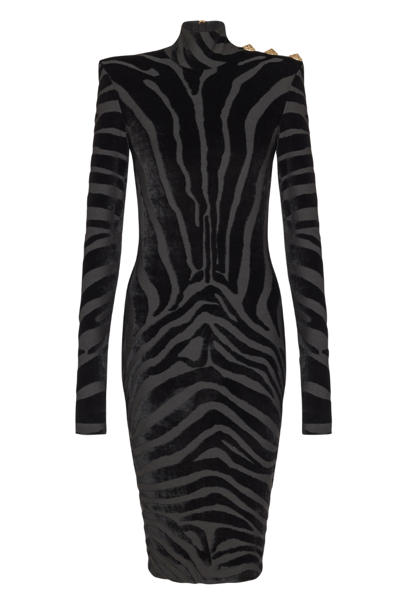 Balmain Women's Short Zebra-Print Velvet Dress - Black - Size 6 US/38 FR Balmain Women's Short Zebra-Print Velvet Dress - Black - Size 6 US/38 FR