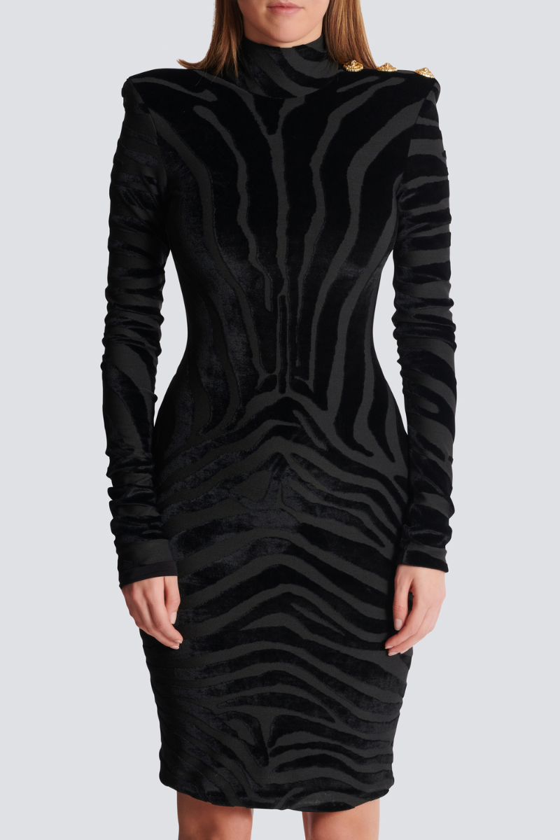 Zebra Print Velvet Dress