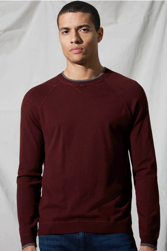 Coverstitch Raglan Sweater-Autumn Cashmere-Boyds Philadelphia