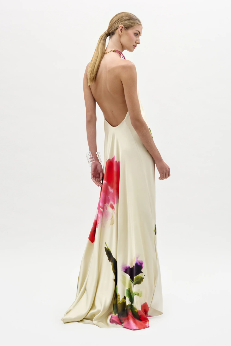 Jesse Dress-Silvia Tcherassi-Boyds Philadelphia
