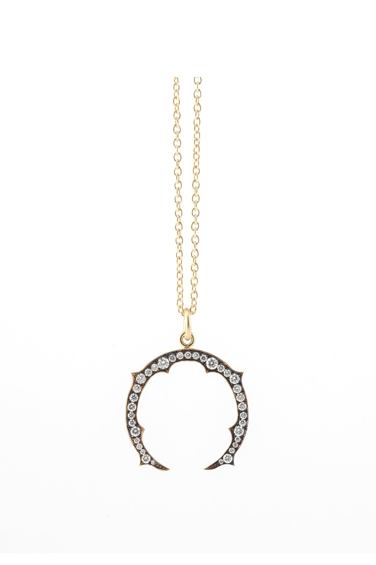 Small Diamond Horseshoe Pendant with Chain