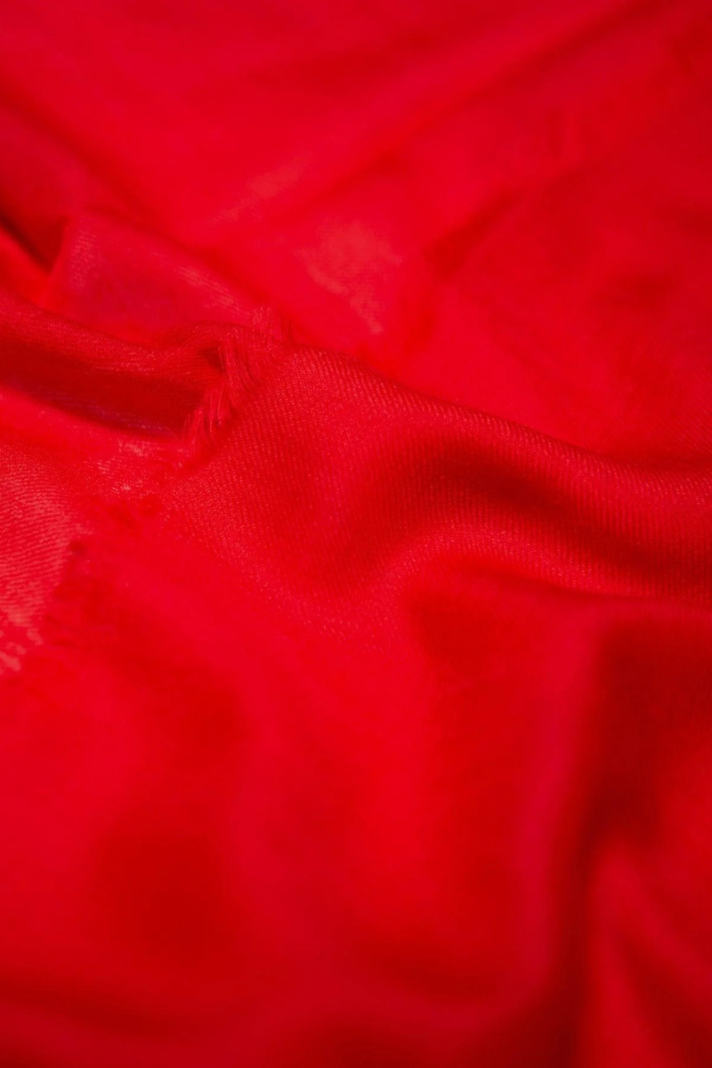 Wispy Solid Scarf-Begg x Co-Boyds Philadelphia