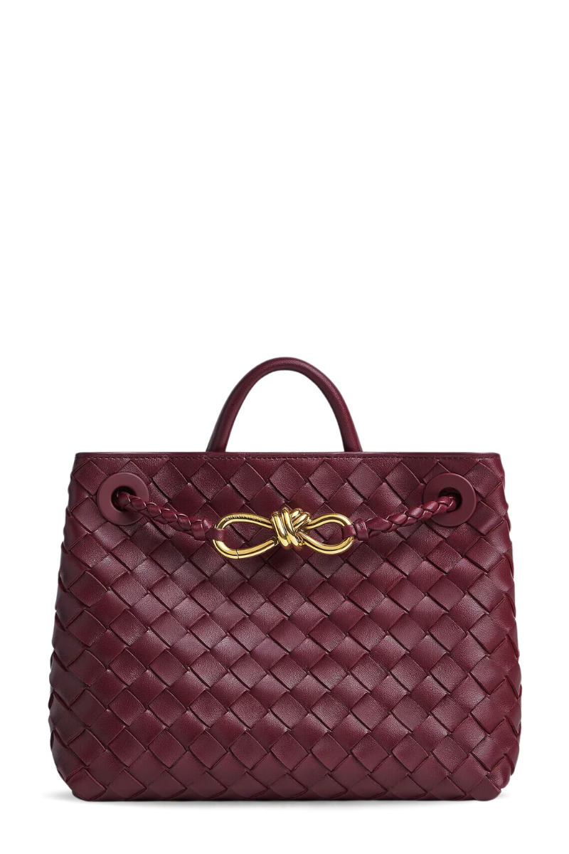 Small Andiamo-Bottega Veneta-Boyds Philadelphia