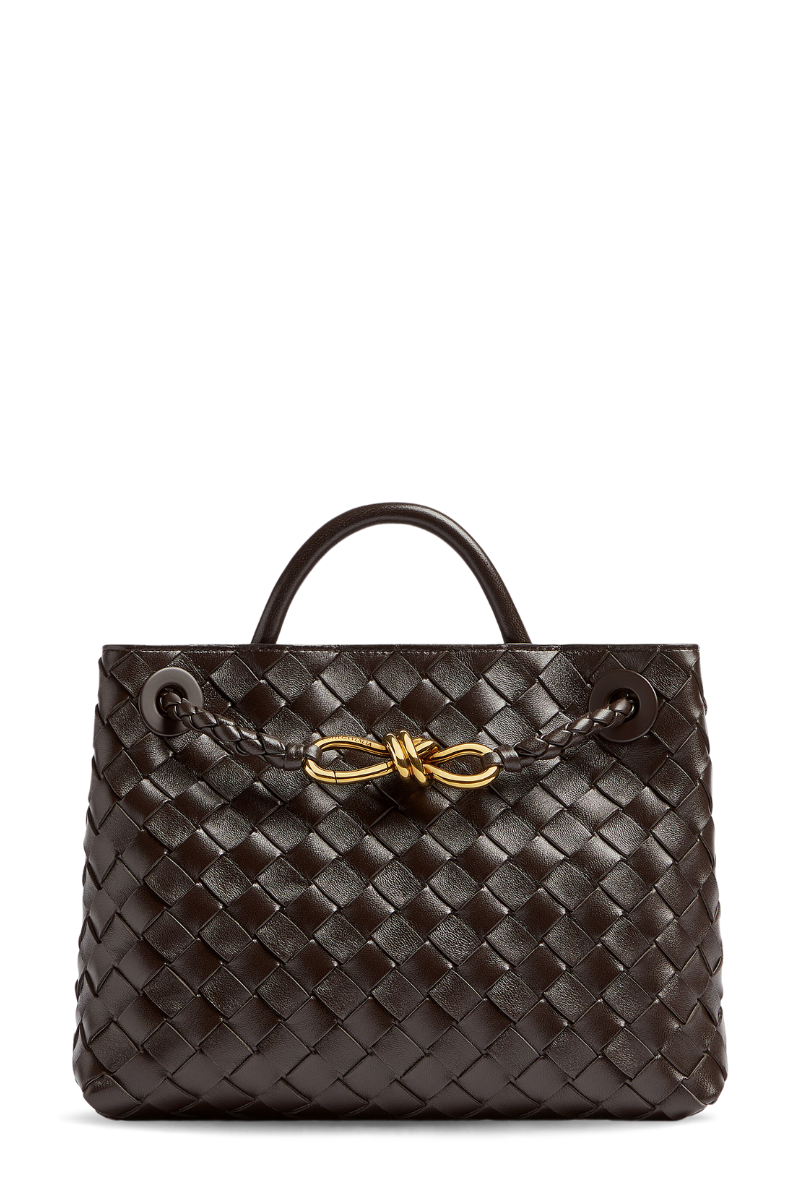 Small Andiamo-Bottega Veneta-Boyds Philadelphia