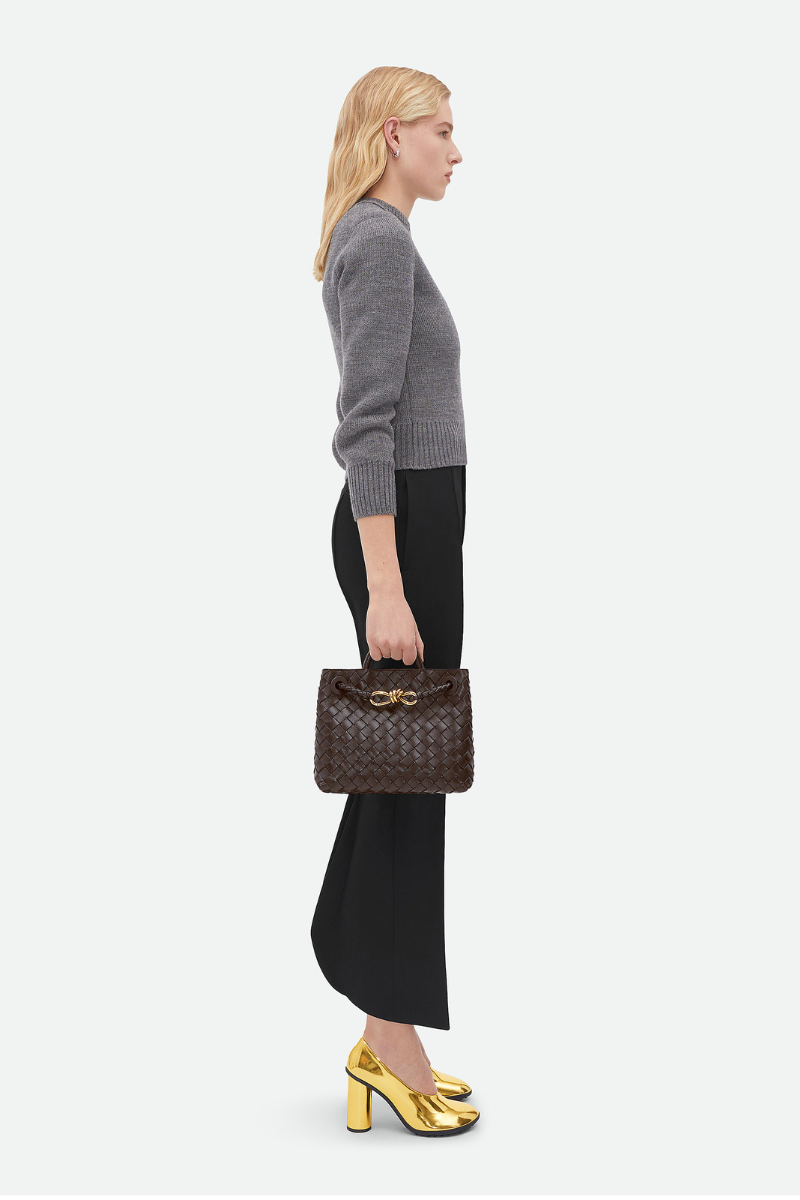 Small Andiamo-Bottega Veneta-Boyds Philadelphia