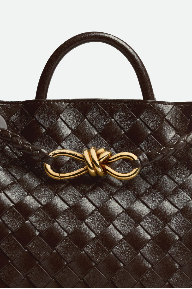 Small Andiamo-Bottega Veneta-Boyds Philadelphia