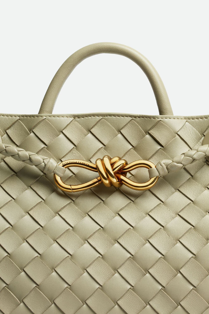 Small Andiamo-Bottega Veneta-Boyds Philadelphia