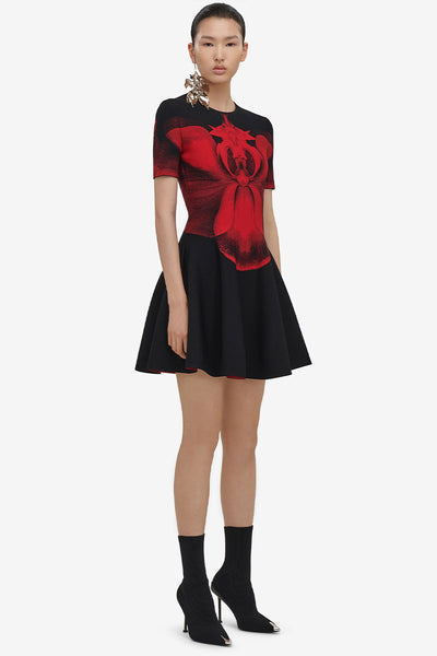 Ethereal Orchid Mini Dress-Alexander McQueen-Boyds Philadelphia