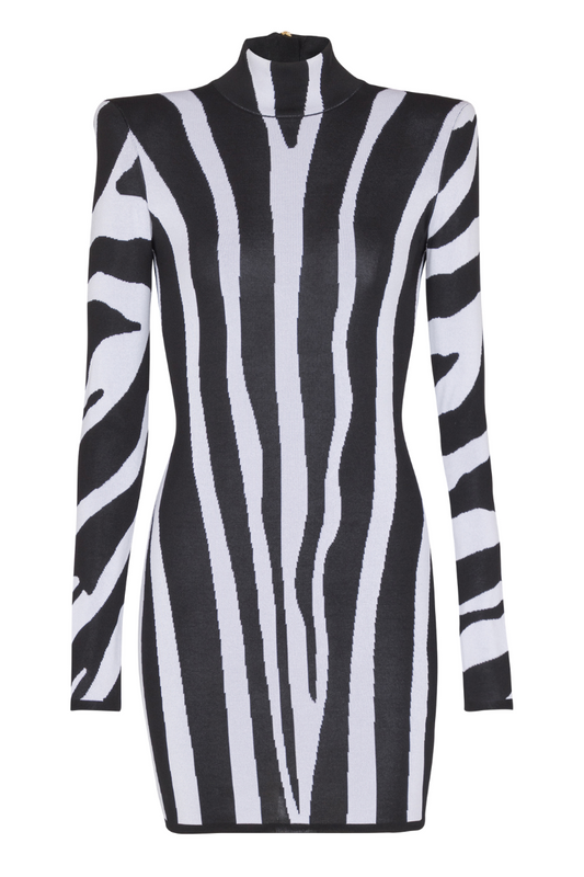 Zebra Intarsia Knit Dress