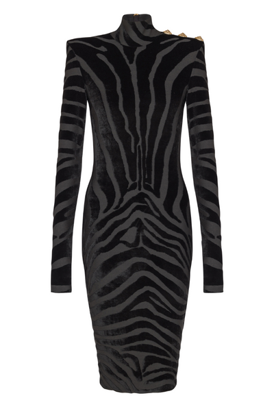 Balmain Women's Short Zebra-Print Velvet Dress - Black - Size 6 US/38 FR
