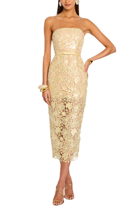 Rowena Lace Dress-Retrofête-Boyds Philadelphia