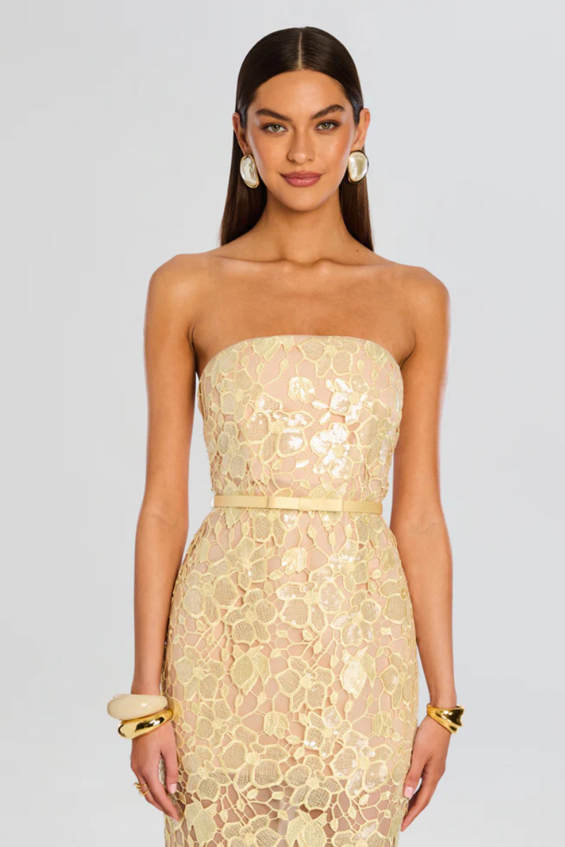 Rowena Lace Dress-Retrofête-Boyds Philadelphia