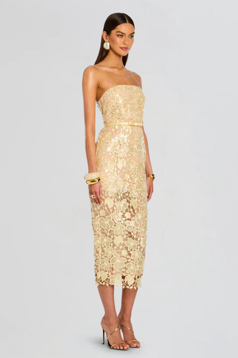 Rowena Lace Dress-Retrofête-Boyds Philadelphia