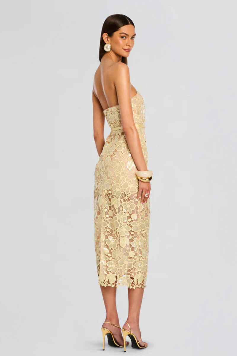 Rowena Lace Dress-Retrofête-Boyds Philadelphia