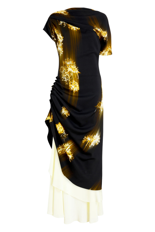 Antonella Dress-Proenza Schouler-Boyds Philadelphia