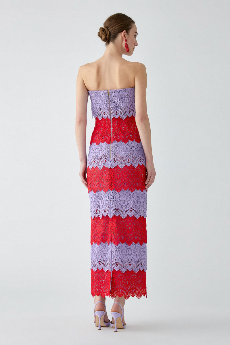 Lace Trim Strapless Dress-Carolina Herrera-Boyds Philadelphia
