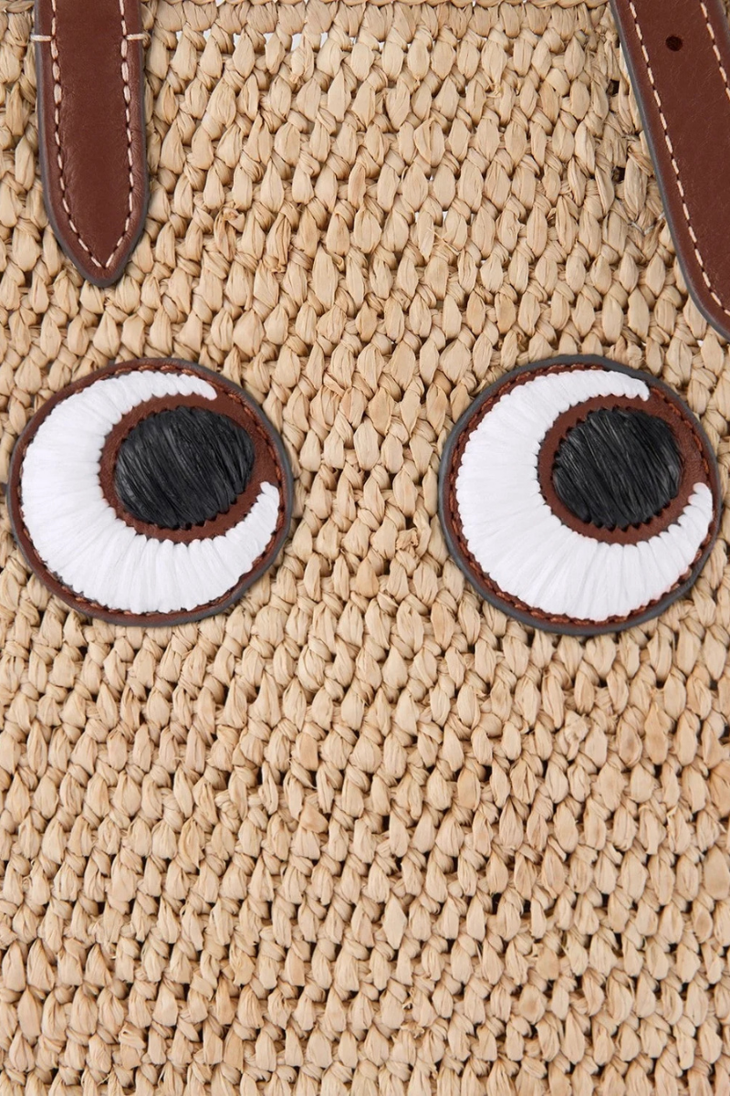 Raffia Eyes Mini Cross-Body Tote-Anya Hindmarch-Boyds Philadelphia