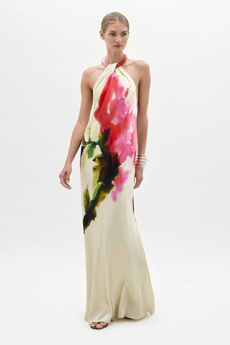 Jesse Dress-Silvia Tcherassi-Boyds Philadelphia