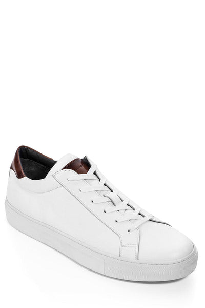 Knox Leather Sneakers-To Boot New York-Boyds Philadelphia
