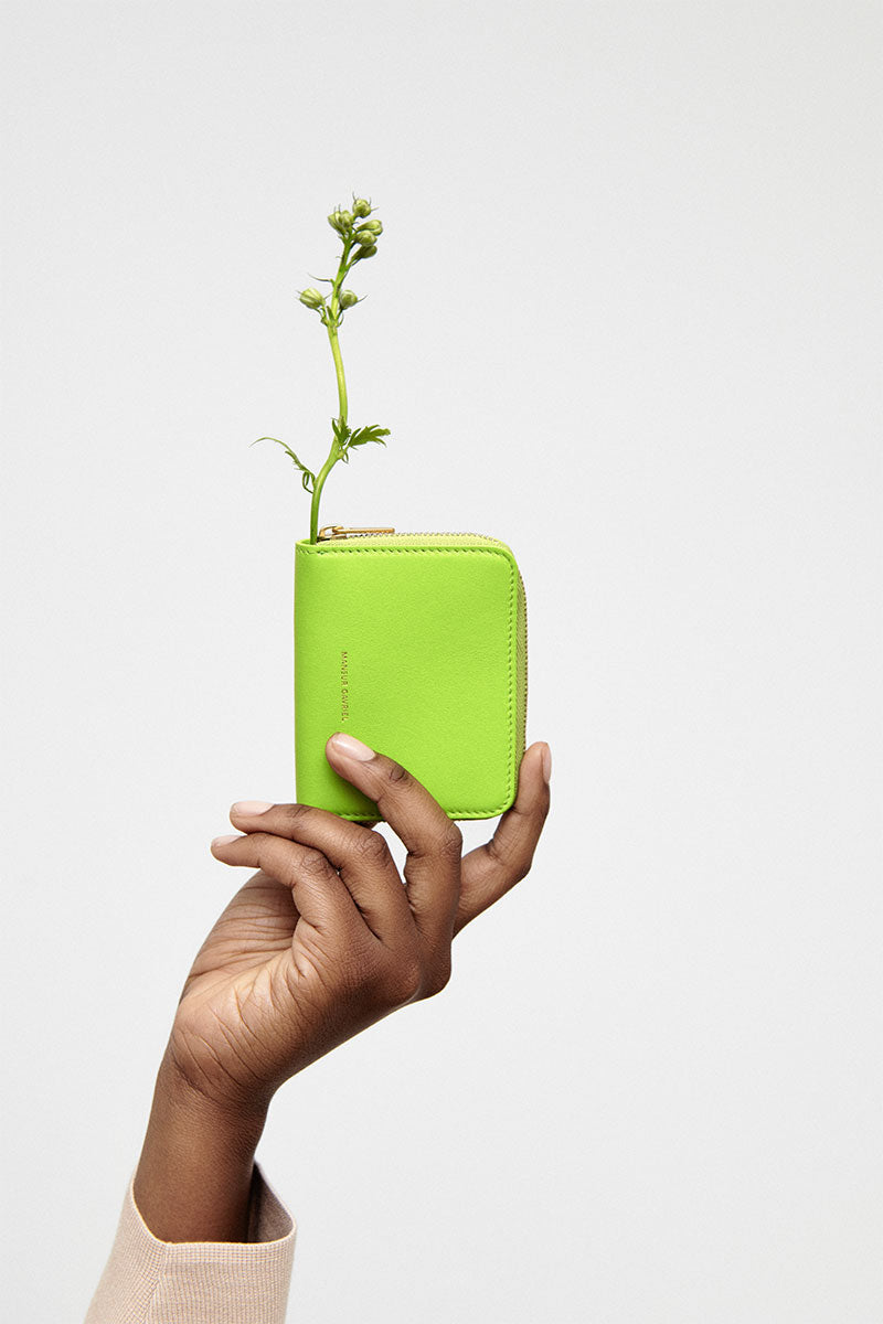 Compact Zip Case-Mansur Gavriel-Boyds Philadelphia